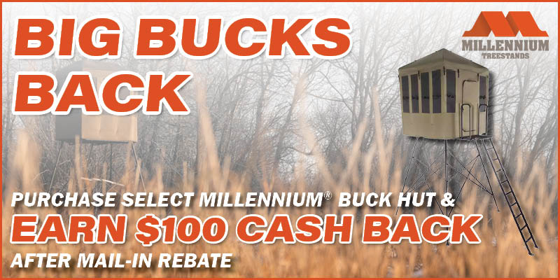 Rebate: Big Bucks Back